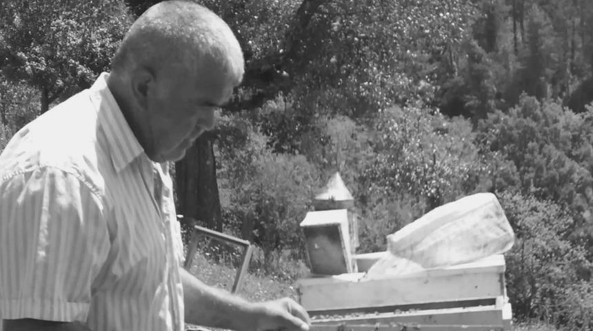 Bartın'da kahreden olay: Kestiği ağacın altında kalan yaşlı adam &ouml;ld&uuml;!