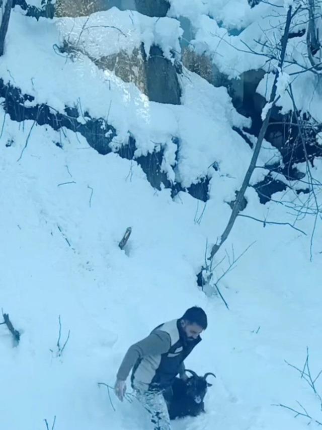 İş makinesi operat&ouml;r&uuml; karda kaybolan ke&ccedil;iyi sahiplerine ulaştırdı 2