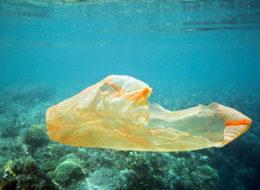 Adalar’da naylon alışveriş poşedi kullanımı yasaklandı