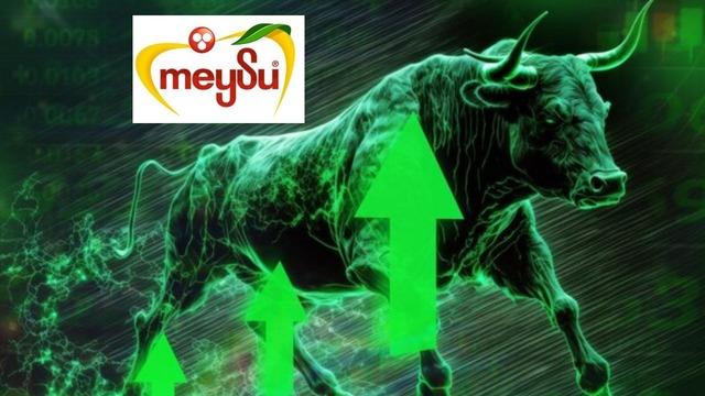 Meysu Gıda'da (MEYSU) heyecanlı başlangı&ccedil;! Yeniden tavan oldu