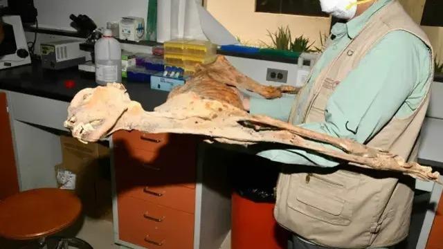 Mağarada mumyalanmış halde bulundu! 130 ile 1.800 yıllık olabilir