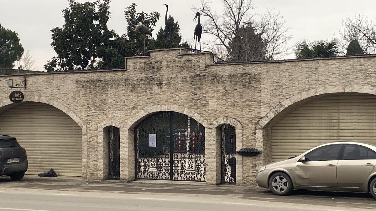 Bir dönemin sonu! Darıca'daki hayvanat bahçesi kapatıldı - Mynet Yaşam