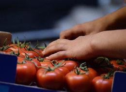 Rusya'ya ihracat yüzde 66 geriledi