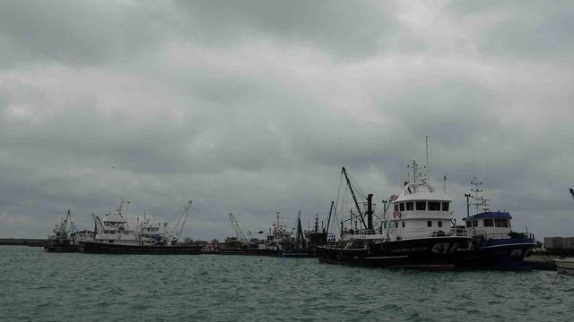 T&uuml;rkiye&rsquo;yi terk eden hamsinin yolu g&ouml;zleniyor 2