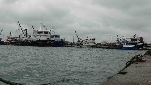 T&uuml;rkiye&rsquo;yi terk eden hamsinin yolu g&ouml;zleniyor 3