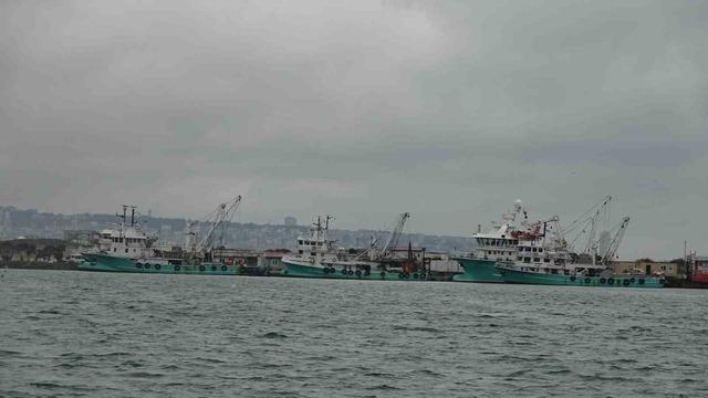 T&uuml;rkiye&rsquo;yi terk eden hamsinin yolu g&ouml;zleniyor 4