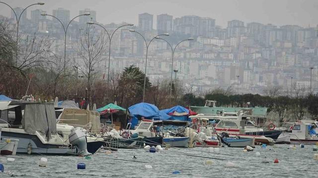 T&uuml;rkiye&rsquo;yi terk eden hamsinin yolu g&ouml;zleniyor 5