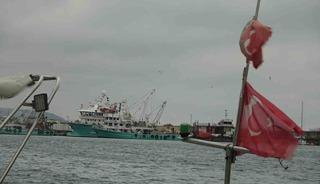 T&uuml;rkiye&rsquo;yi terk eden hamsinin yolu g&ouml;zleniyor