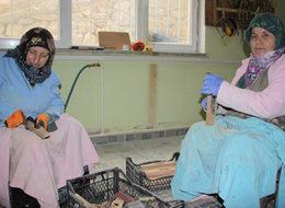 Ek gelir için yapmışlardı, şimdi para basıyorlar