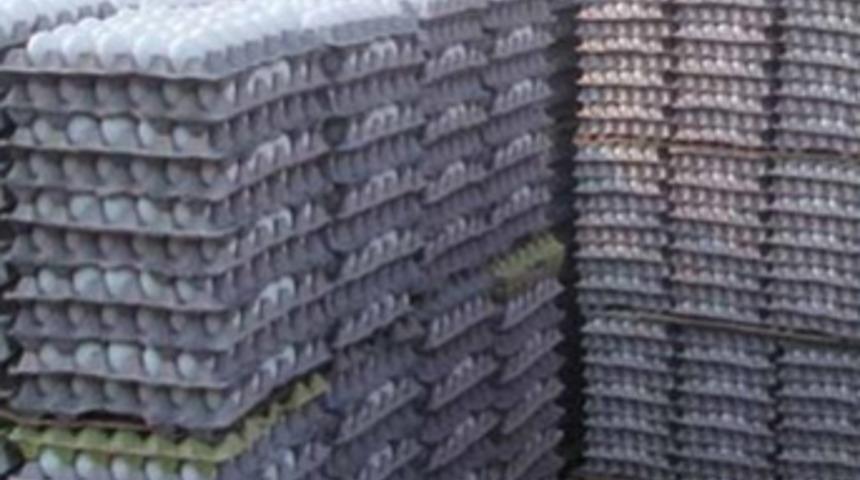 Tam 5 milyon adet bozuk yumurta ele geçirildi