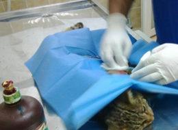 İş bulmada en şanslı meslek