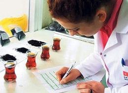 Çay içerek para kazanıyorlar