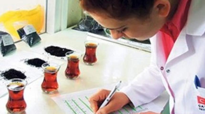 Çay içerek para kazanıyorlar
