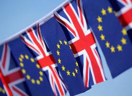 İngiltere'de 250 işadamı AB'den 'ayrılmak istiyor'