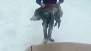 Yavru domuzu elleriyle yakalayan kişiye 15 bin lira ceza