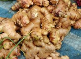 Yer elması fiyatı etle yarışıyor