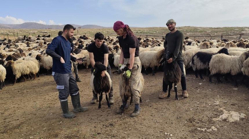 Şırnak&rsquo;ta hayvancılığa 2025&rsquo;te g&uuml;&ccedil;l&uuml; dokunuş