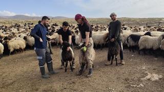 Şırnak’ta hayvancılığa 2025’te güçlü dokunuş