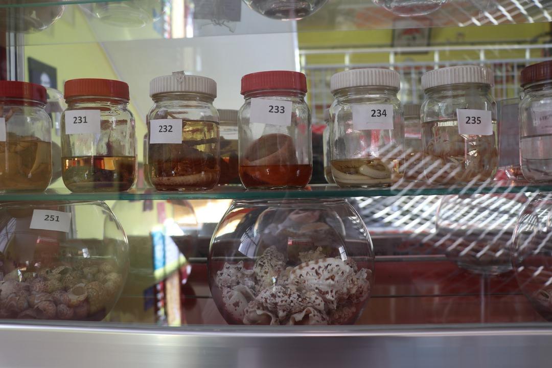 Her şey yerde bulduğu yumurta ile başladı: Cebine koydu, ertesi g&uuml;n sesler gelmeye başladı! 4