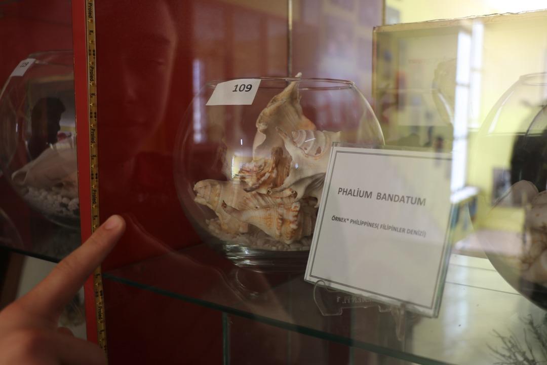 Her şey yerde bulduğu yumurta ile başladı: Cebine koydu, ertesi g&uuml;n sesler gelmeye başladı! 3