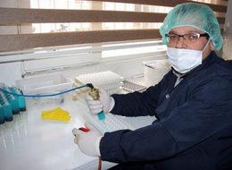 Uçakta keşfetti, 18 ülkeye ihraç ediyor