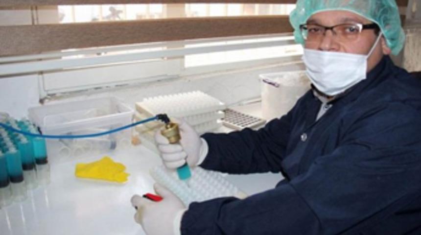 Uçakta keşfetti, 18 ülkeye ihraç ediyor
