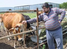 Sütün matematiğini hesapladı