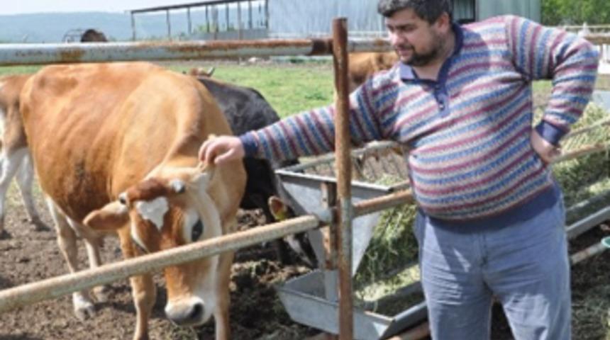 Sütün matematiğini hesapladı