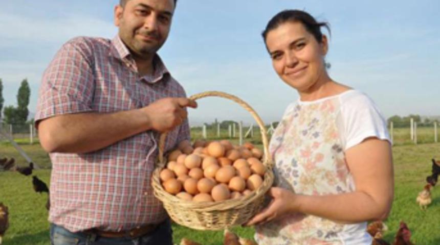 2 kardeş 3 tavukla girdiği işte markalaştı