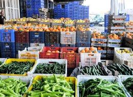 Türk tarım heyeti Moskova'da