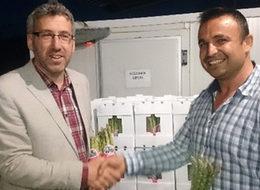 Sarıcaya'dan ilk kuşkonmaz ihracatını Hollanda'ya yapıldı