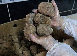 Damaklar bu kebabı 11 ay bekliyor