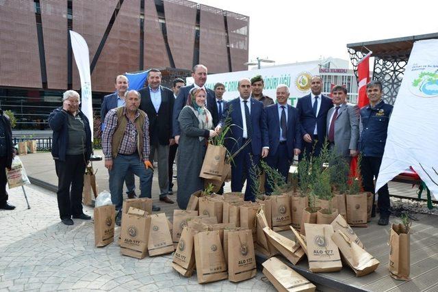 Biga’da ücretsiz 7 bin adet fidan dağıtıldı