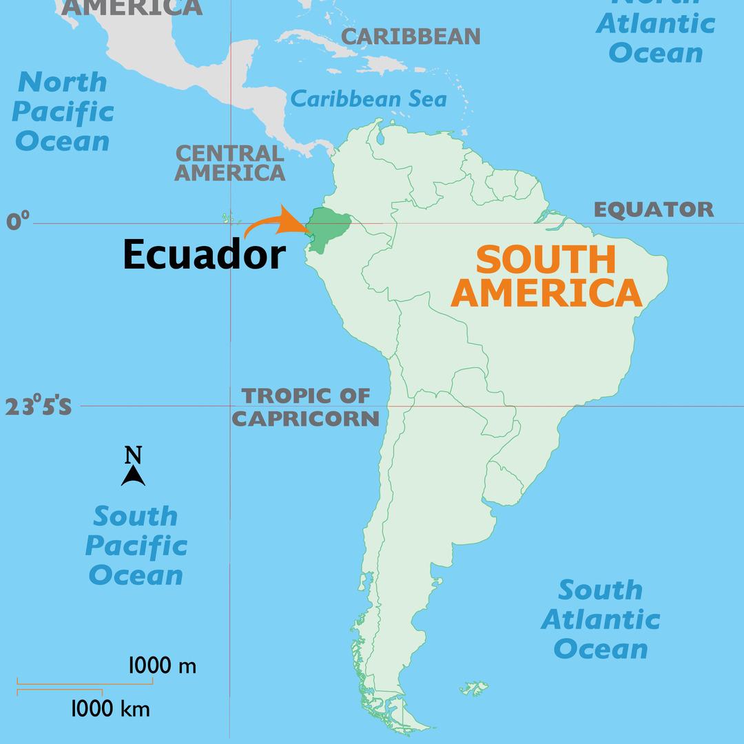 Ekvador&rsquo;da organize su&ccedil;la m&uuml;cadelede 10 bin askerle "B&uuml;t&uuml;nc&uuml;l H&uuml;cum" operasyonu 3