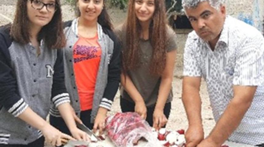 Turptan yakıt üretiller