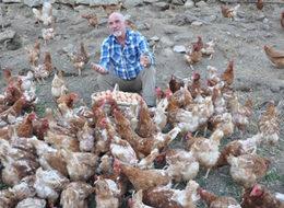 Hollanda'da 40 yıl çalıştı Koçarlı'ya yumurta çiftliği kurdu