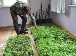 Hastane güvenlikçisi solucandan organik gübre üretti