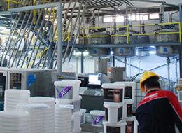 Türk devine Japon ortak geliyor