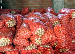 Soğanın fiyatı 20 kuruşa kadar düştü