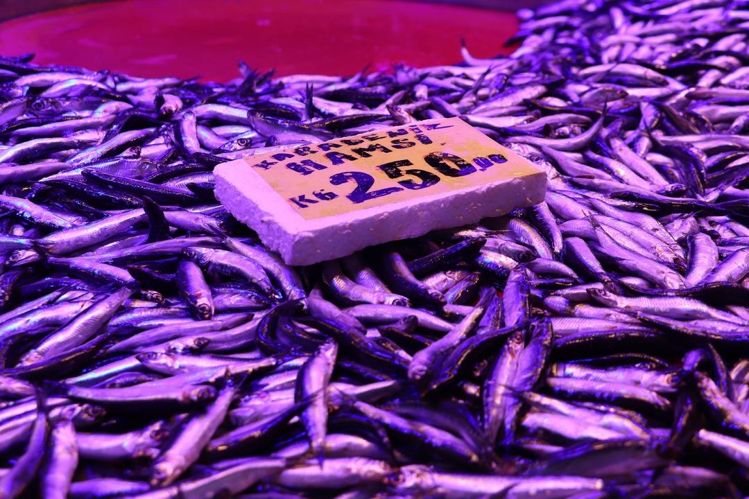 En lezzetli balık nasıl pişer? Soğuk hava, balık tezgahlarını da etkiledi! 3