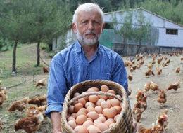 500 tavukla başladı, şimdi para basıyor