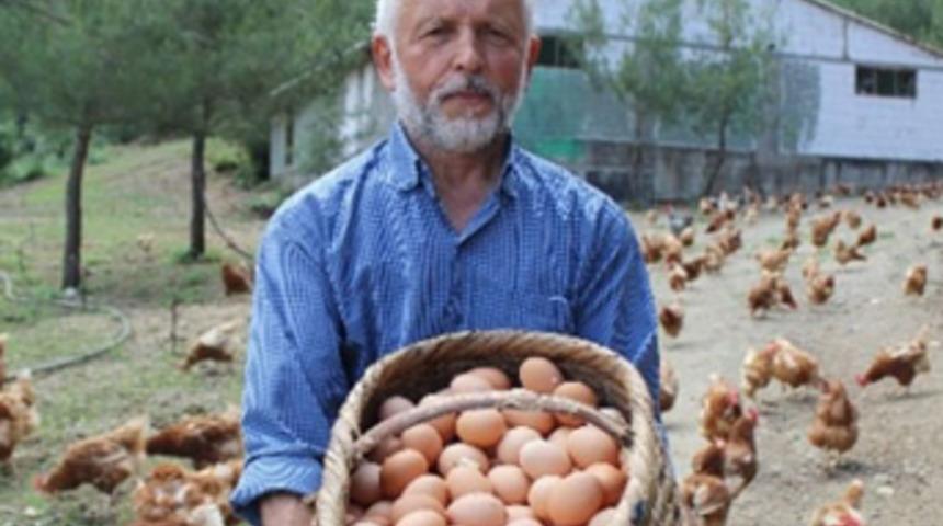 500 tavukla başladı, şimdi para basıyor