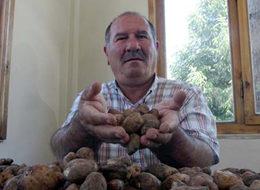 Yabani orkide toplamanın cezası 327 bin lira