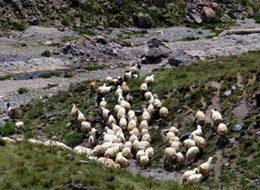 2 bin lira maaşla çalışacak eleman bulamıyorlar