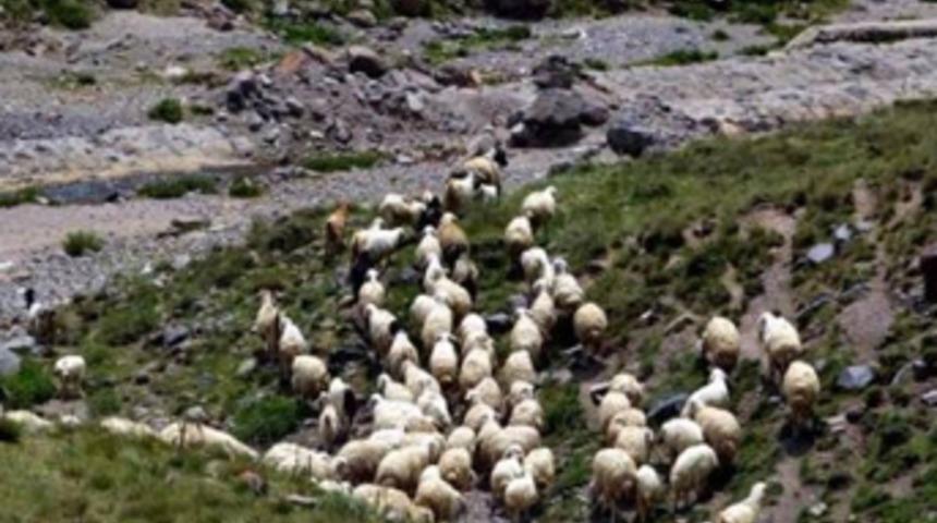 2 bin lira maaşla çalışacak eleman bulamıyorlar