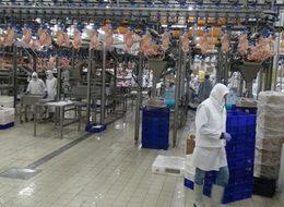 48 yıllık başarı öyküsü