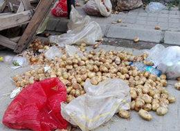 Önceden altın değerindeydi şimdi çöpe gidiyor