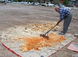 Atık ekmekleri gelire dönüştürüp, yoksullara yardım ediyor