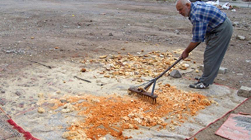 Atık ekmekleri gelire dönüştürüp, yoksullara yardım ediyor
