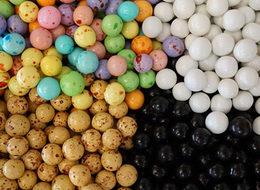 EURO 2016'nın çerezi: Tavşanlı leblebisi